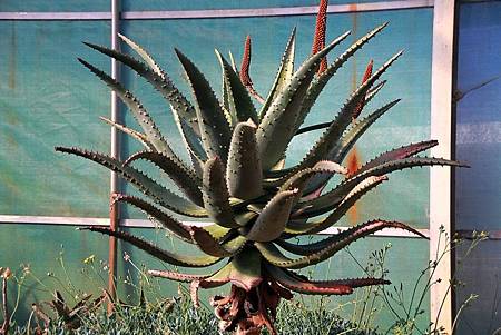 桃園市企劃從業人員職業工會 在家工作 接case 論件計酬 企畫編輯 企宣人員等 勞保可以加入職業工會 歡迎加入本會 桃園市企劃從業人員職業工會