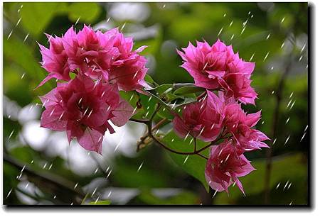 百貨_190311_0010.jpg 百貨_190311_0010.jpg