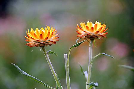 微笑_180423_0009.jpg 微笑_180423_0009.jpg