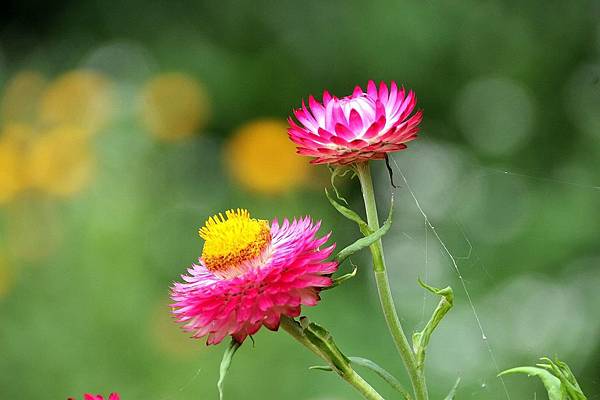 微笑_180423_0001.jpg 微笑_180423_0001.jpg