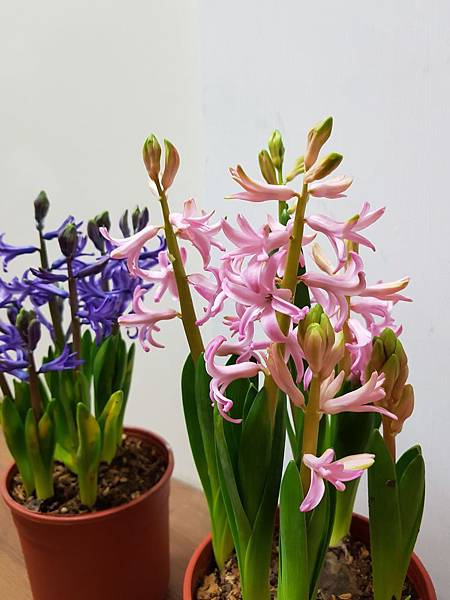 628337.jpg 628337.jpg