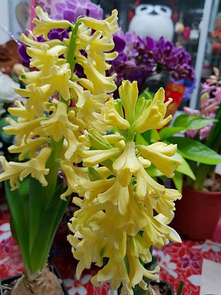 628403.jpg 628403.jpg