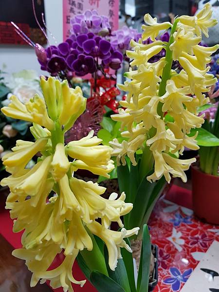 628404.jpg 628404.jpg