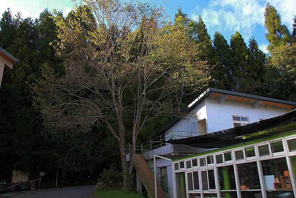 20171117梅峰農場_171120_0080.jpg 20171117梅峰農場_171120_0080.jpg