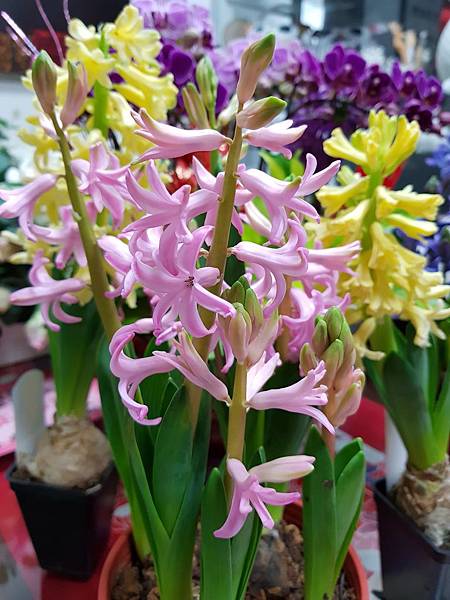 628407.jpg 628407.jpg