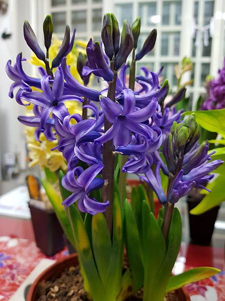 628467.jpg 628467.jpg