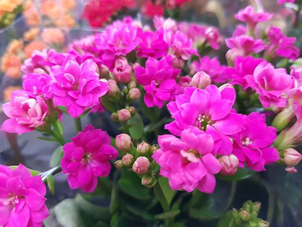 628112.jpg 628112.jpg