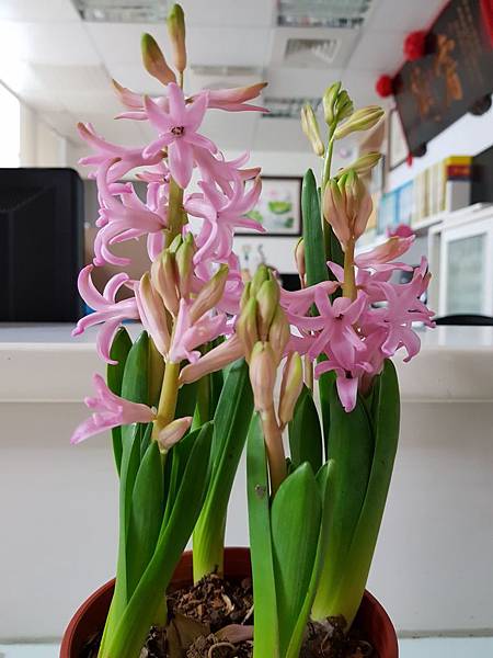 628333.jpg 628333.jpg