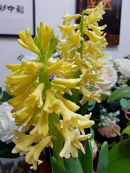 628332.jpg 628332.jpg