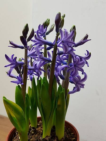 628334.jpg 628334.jpg