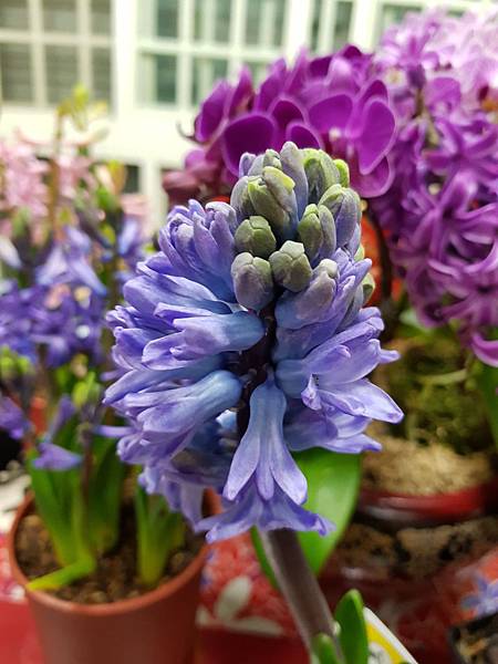 628339.jpg 628339.jpg