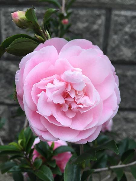 0EE6E690-775D-424B-971E-31E18DEB78D0.jpg 0EE6E690-775D-424B-971E-31E18DEB78D0.jpg