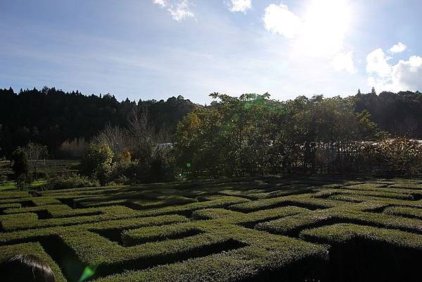 20171117梅峰農場_171120_0065.jpg 20171117梅峰農場_171120_0065.jpg