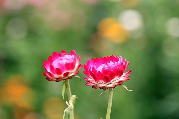 微笑_180430_0011.jpg 微笑_180430_0011.jpg