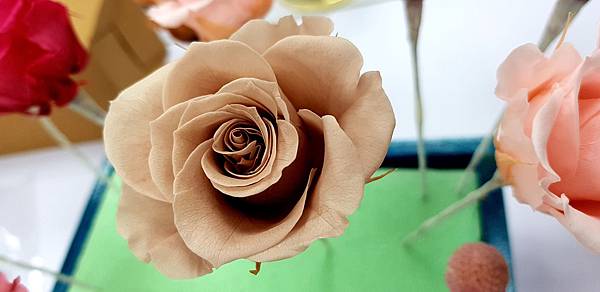 770675.jpg 770675.jpg