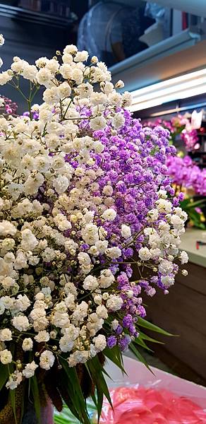 776865.jpg 776865.jpg