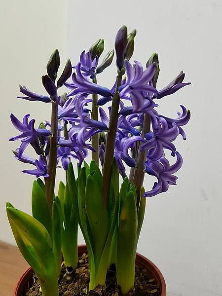 628334.jpg 628334.jpg