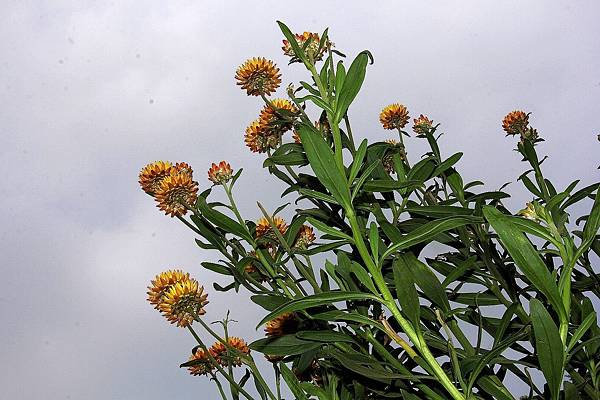 微笑_180430_0032.jpg 微笑_180430_0032.jpg