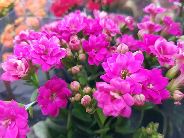 628112.jpg 628112.jpg