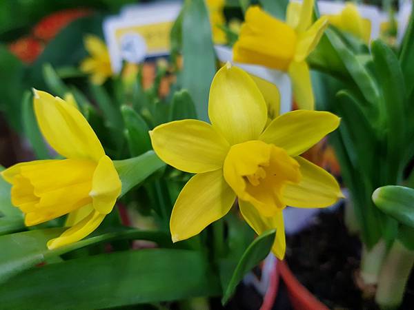 素材攝影拍攝編緝企劃等 相關工作人員,有工作想加勞保 素材攝影拍攝編緝企劃等 相關工作人員,有工作想加勞保