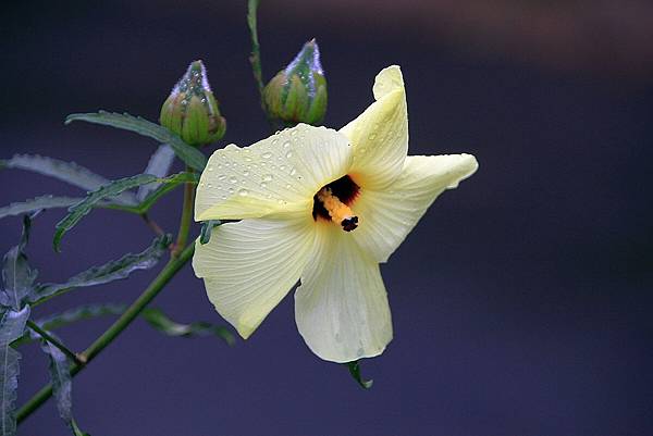 百貨_190311_0025.jpg 百貨_190311_0025.jpg