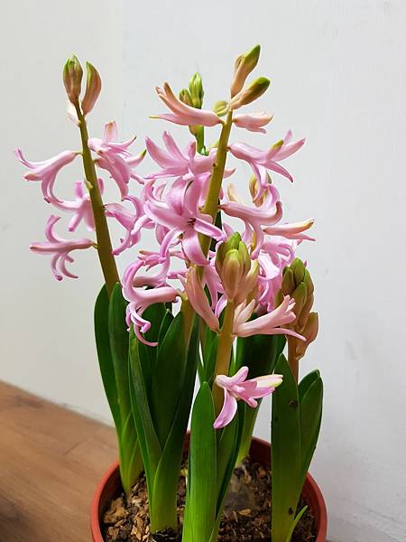 628336.jpg 628336.jpg