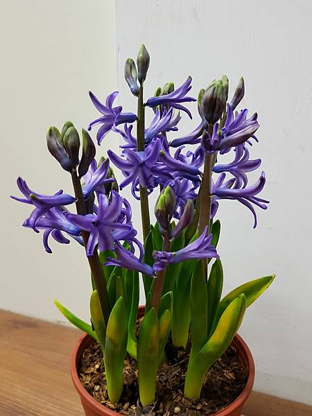 628335.jpg 628335.jpg