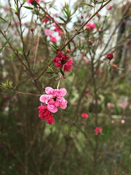 雯要用圖片_180315_0056.jpg 雯要用圖片_180315_0056.jpg