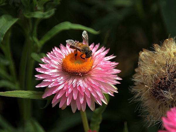 微笑_180430_0038.jpg 微笑_180430_0038.jpg