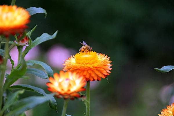 微笑_180423_0003.jpg 微笑_180423_0003.jpg