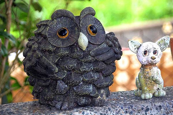 20181116_190415_0032.jpg 20181116_190415_0032.jpg