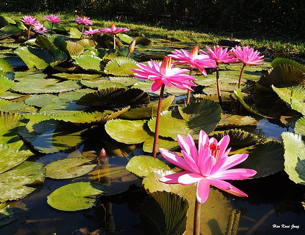 核心子五連.jpg 核心子五連.jpg