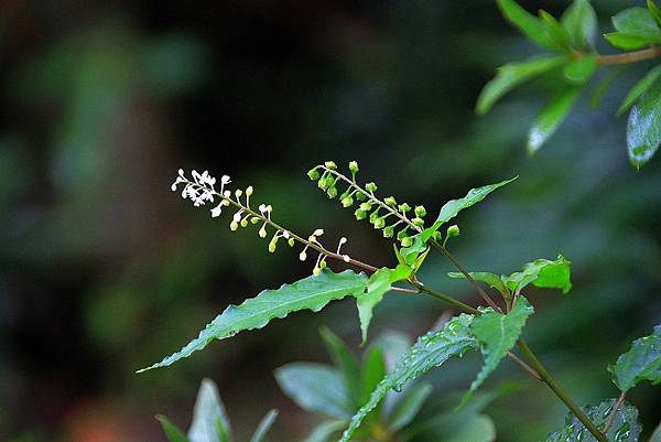 百貨_190311_0020.jpg 百貨_190311_0020.jpg