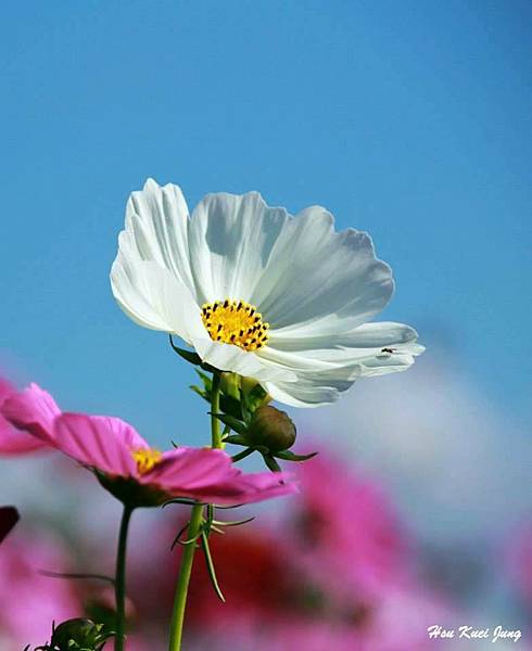 368813.jpg 368813.jpg