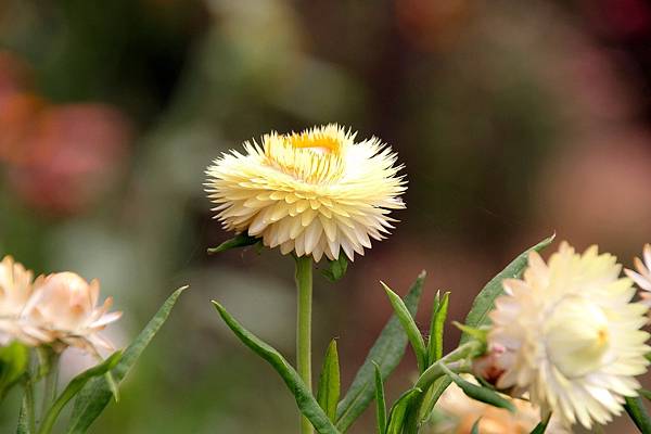 微笑_180423_0021.jpg 微笑_180423_0021.jpg