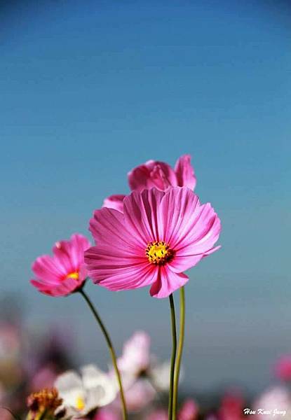 從事街頭視覺藝術創作的勞工朋友,想加勞保,歡迎加入桃園市企劃 從事街頭視覺藝術創作的勞工朋友,想加勞保,歡迎加入桃園市企劃