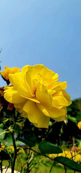 雯用圖_210331_2.jpg 雯用圖_210331_2.jpg