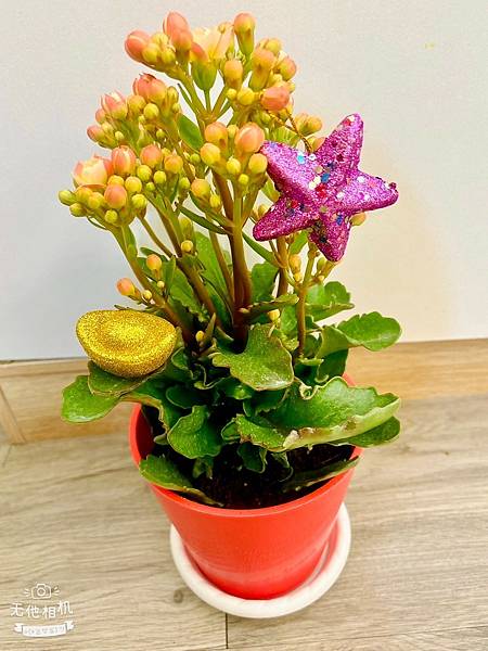 LINE_ALBUM_雯用圖_240227_159.jpg LINE_ALBUM_雯用圖_240227_159.jpg