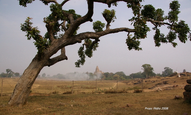 PropcINdia 40.jpg PropcINdia 40.jpg