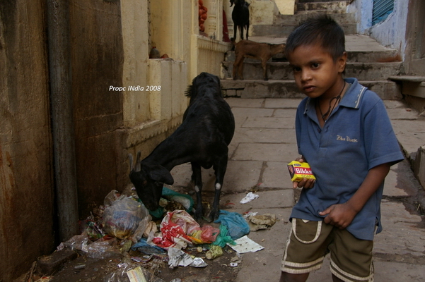 PropcINdia 47.JPG PropcINdia 47.JPG