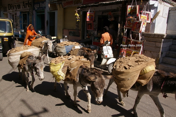 PropcINdia 50.JPG PropcINdia 50.JPG