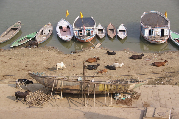 INdia 1121-03.JPG INdia 1121-03.JPG