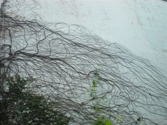 DSCN6277.JPG DSCN6277.JPG