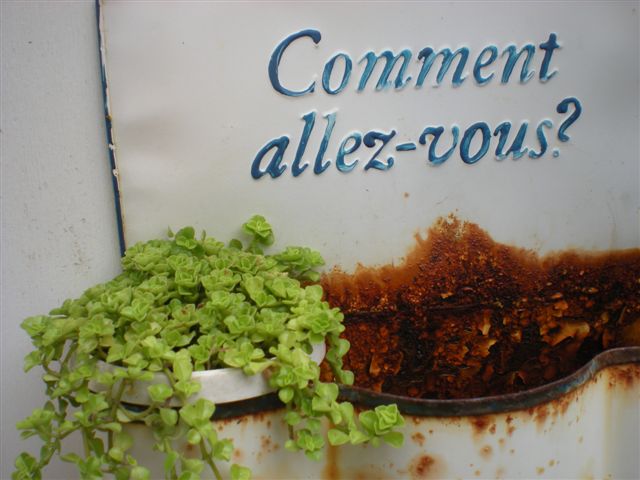 DSCN6279.JPG DSCN6279.JPG