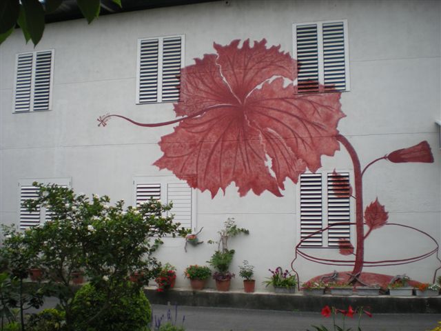 DSCN6293.JPG DSCN6293.JPG