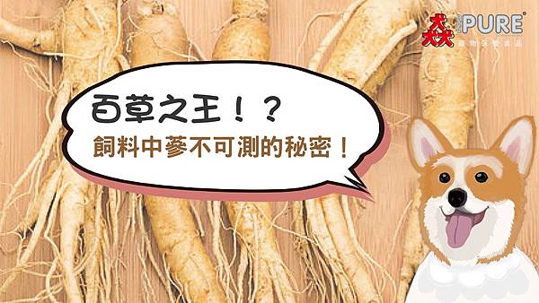 百草之王-飼料中深不可測的秘密!