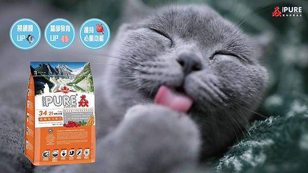 PURE猋飼料可以幫助視力UP、腦部發育UP、維持心肌功能