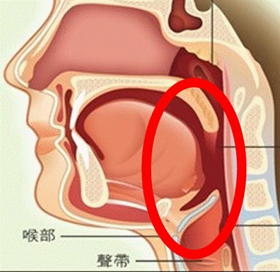 圖片2.gif