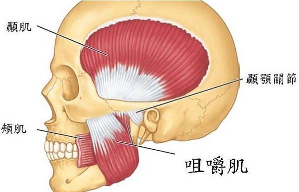 簡報1.jpg