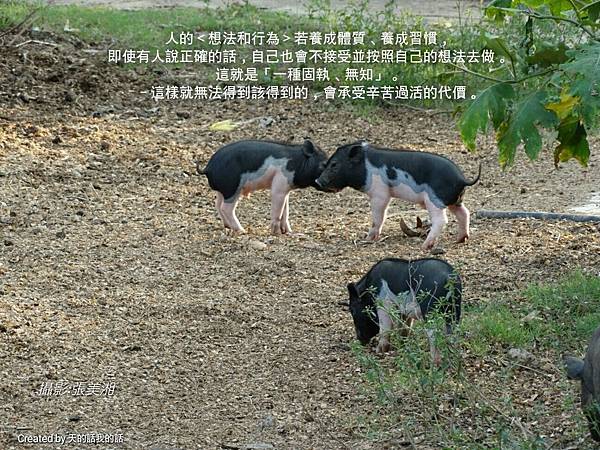 r_1446473972254_proverb